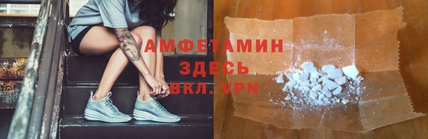 ГАЛЛЮЦИНОГЕННЫЕ ГРИБЫ Вяземский