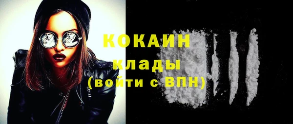 ГАЛЛЮЦИНОГЕННЫЕ ГРИБЫ Вяземский