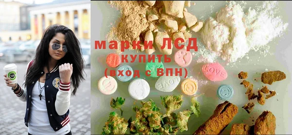 ГАЛЛЮЦИНОГЕННЫЕ ГРИБЫ Вяземский