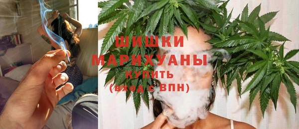 ГАЛЛЮЦИНОГЕННЫЕ ГРИБЫ Вяземский