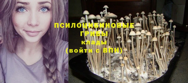 амф Вязьма