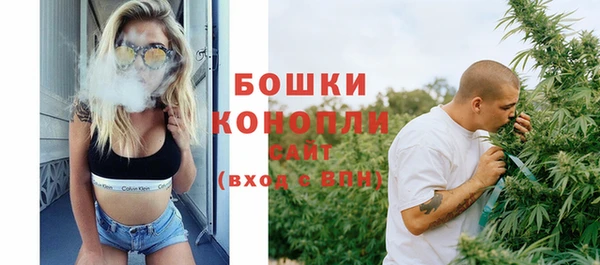 ГАЛЛЮЦИНОГЕННЫЕ ГРИБЫ Вяземский