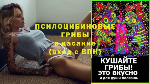 ГАЛЛЮЦИНОГЕННЫЕ ГРИБЫ Вяземский