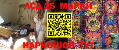 эйфоретик Берёзовский