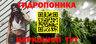 гашик Гай