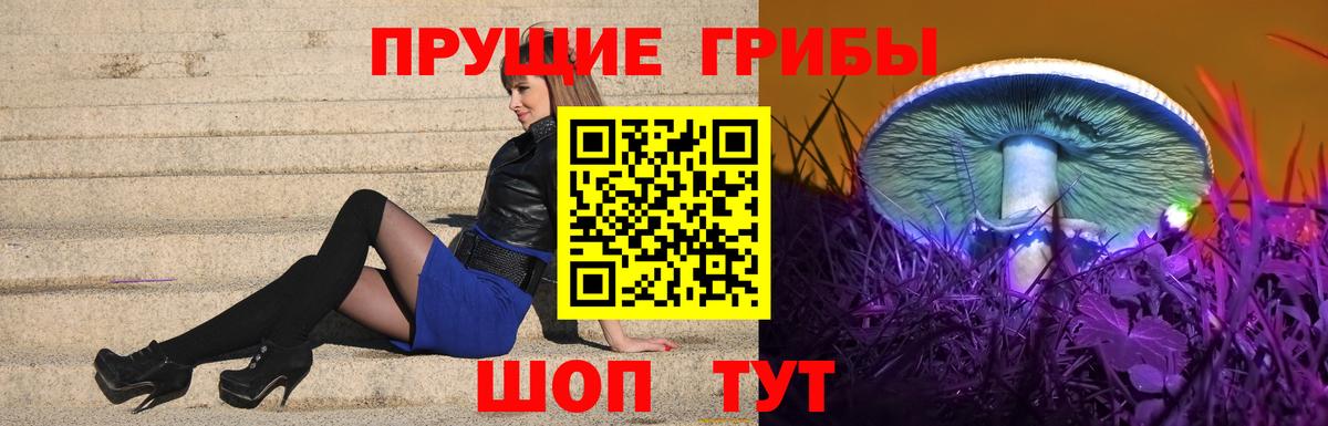 Городец  Псилоцибиновые грибы Cubensis  Псилоцибиновые грибы MAGIC MUSHROOMS  Вход с VPN 