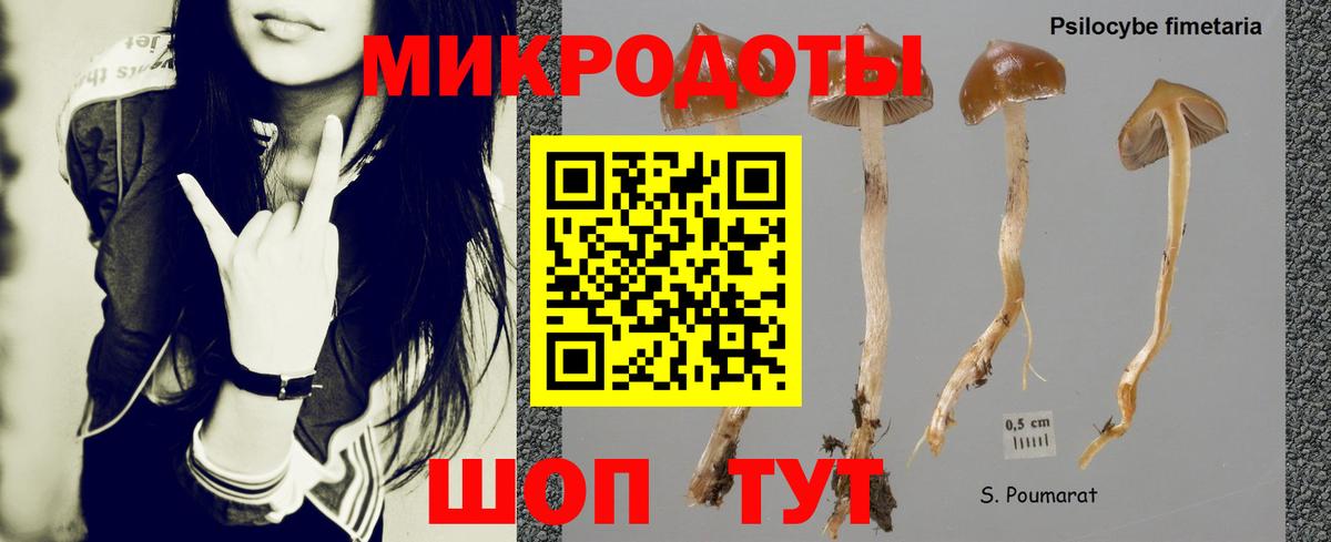 Галлюциногенные грибы GOLDEN TEACHER  где купить наркоту  Городец 